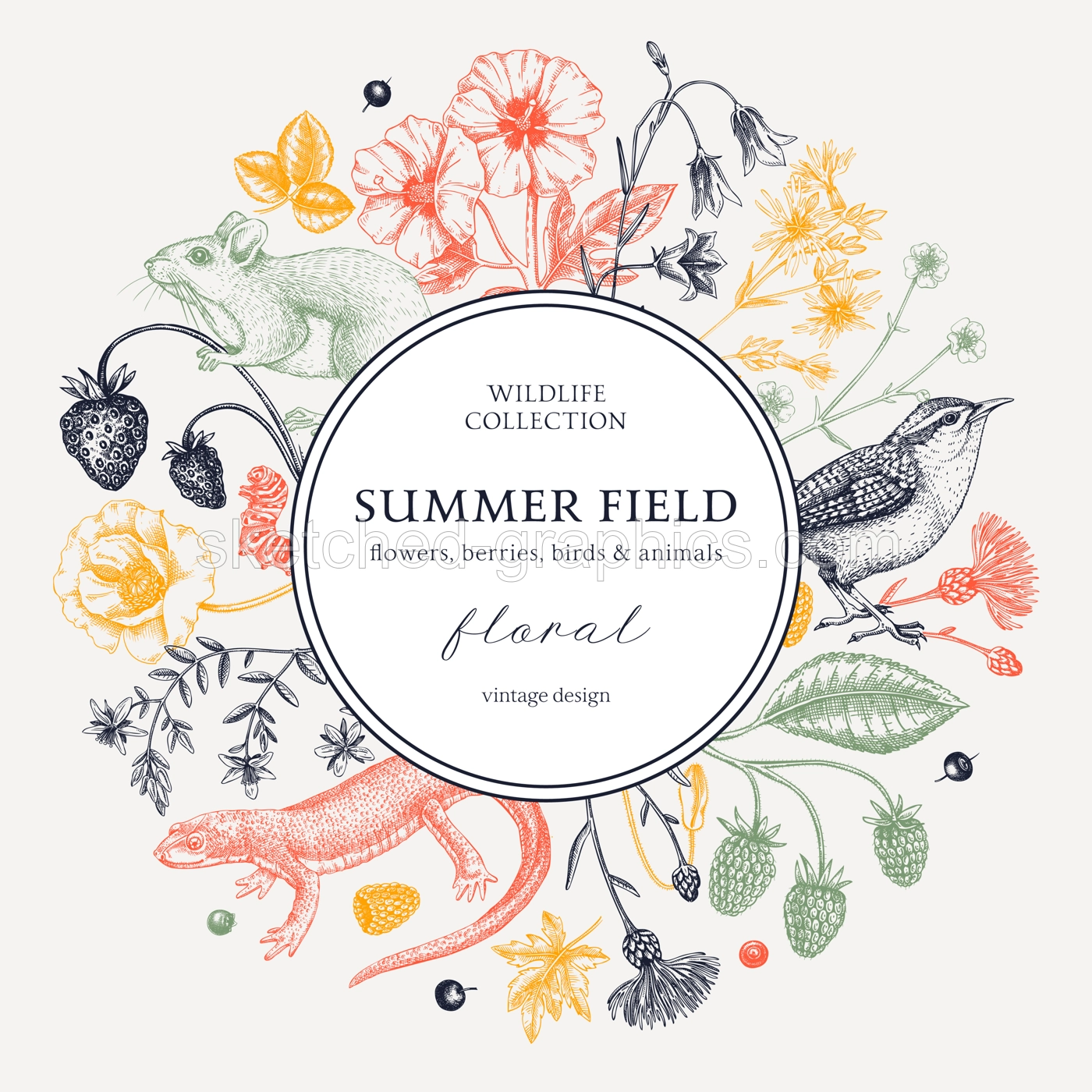Summer background in color. Floral wreath design. Wildlife sketches. Wildflowers botanical illustration. Hand-drawn field of flowers, birds, and animals for wedding invitation, decoration. Illustration